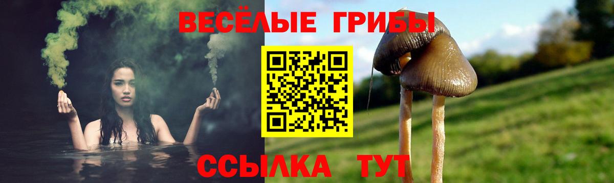 Вязники  Галлюциногенные грибы ЛСД  Вход с VPN 